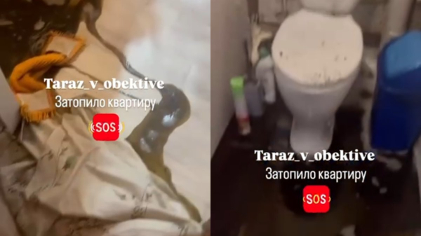Тараздағы көпқабатты үйді су басты: тұрғындар ТЭЦ пен мердігерді кінәлауда (ВИДЕО)