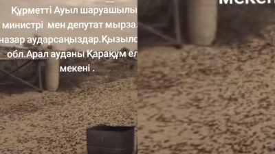 «Шошып кеттік»: Қызылорда облысында шегіртке қаптап, халық министр мен депутаттардан көмек сұрады (ВИДЕО)