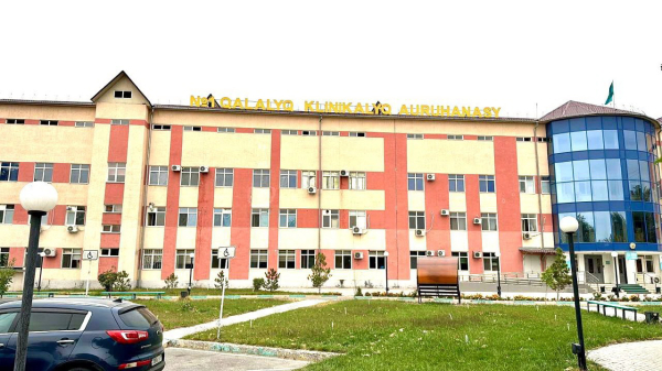 Ұйқы безіне жасалған алғашқы тіліксіз операция