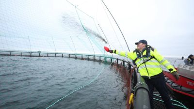 Маңғыстауда Орталық Азиядағы алғашқы теңіз аквашаруашылық жобасы іске асуда