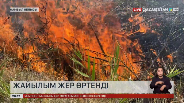 Жамбыл облысында жайылым өртенді