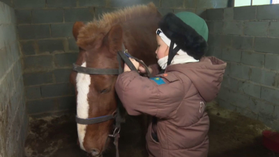 Атқа міну – жаңарған үрдіс