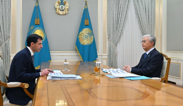 Мемлекет басшысы «Qarmet» АҚ директорлар кеңесінің төрағасын қабылдады