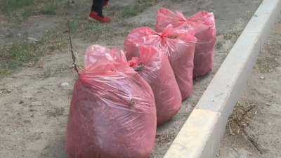 «Таза Қазақстан» жалпыұлттық акциясы аяқталады