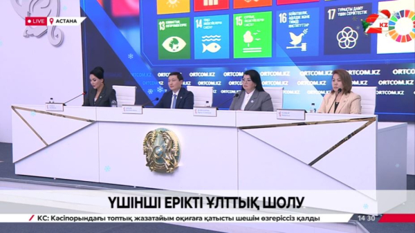 Үшінші ерікті ұлттық шолу. Брифинг