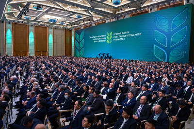 Президент салаға шетел инвесторларын тарту жұмысын тездету қажеттігін айтты