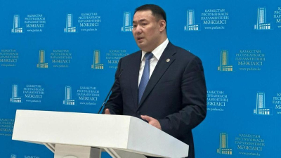 Перизат Қайратқа қатысты ісі бойынша сот қашан басталады: ҚМА өкілі жауап берді