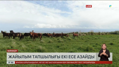Жайылым тапшылығы екі есеге азайды