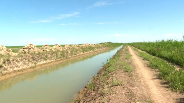 Қызылорда облысында шаруалар суды рұқсатсыз пайдаланған