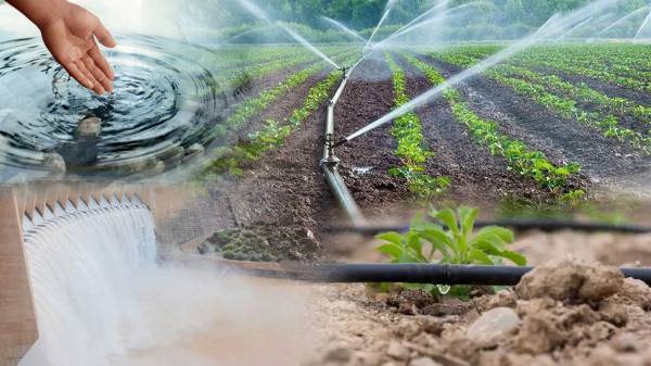 Қазақстанның 4 өңірі егістік суынан таршылық көруі мүмкін