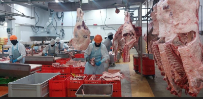 БАӘ импорттаушылары тізіміне тағы төрт отандық кәсіпорын енгізілді