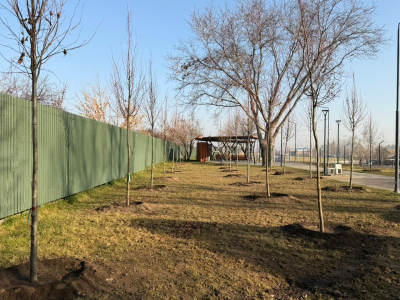 Алматының Жетісу ауданында Сейфуллин&ndash;Жансүгіров жолайырығын көгалдандыру жалғасып жатыр