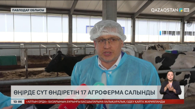Павлодар облысында сүт өндіретін 17 агроферма салынды