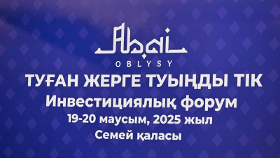 Абай облысының әкімі елден шыққан азаматтарды туған өлкені көркейтуге атсалысуға шақырды