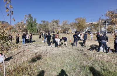 Ұлытау облысында 3000-нан аса ағаш отырғызылды