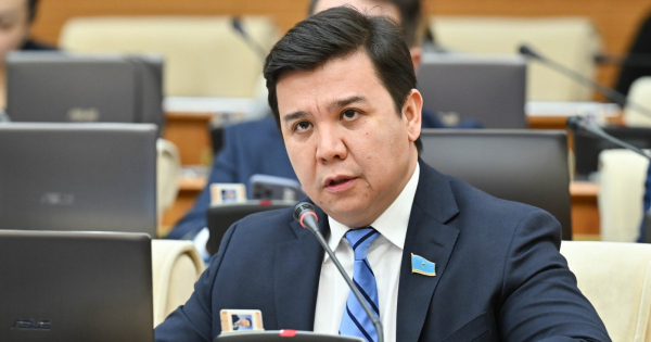 Депутат: 38 миллионнан астам шот бұғатталып тұр