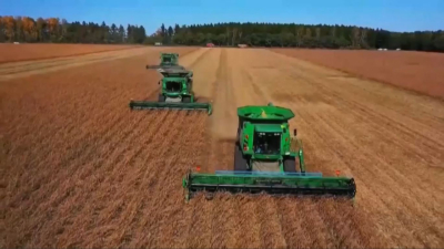 Қытай рекордты көлемде астық жинады