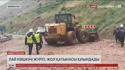 Өзбекстанда лай көшкіні жүріп, жол қатынасы қиындады