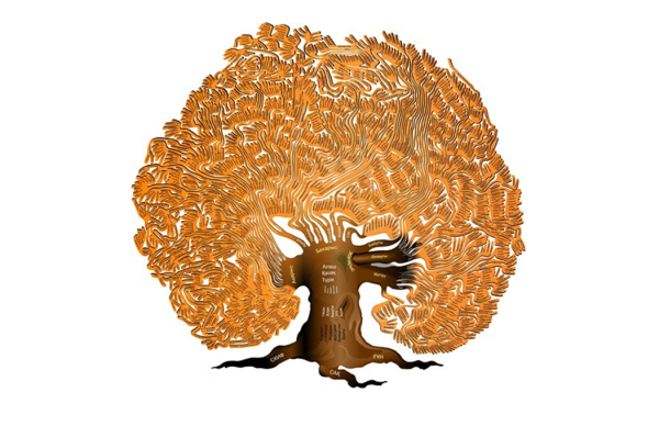 Адам ұрпағымен мың жасайды