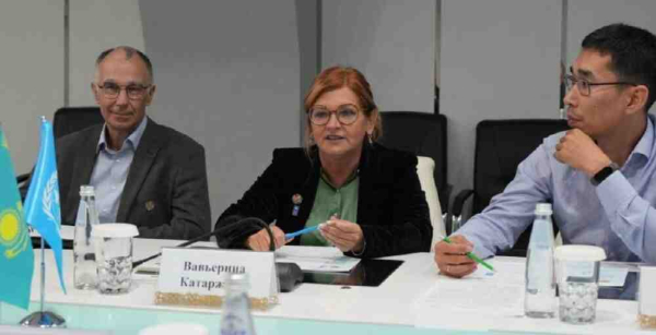 Сегіз су қоймасы және 115 канал: БҰҰДБ Қазақстандағы су мегажобасына қосылады