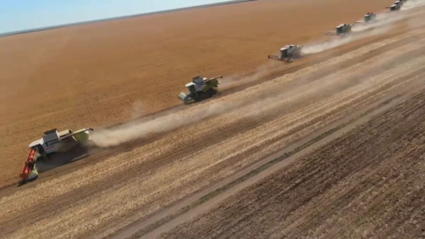 Еуропада жаздық дақылдарды жинау жұмыстары аяқталуға жақын