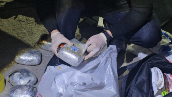 Шекарадан есірткі өткізбек болған шетелдік ұсталды