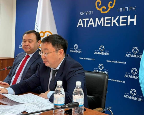 Қазақстанда "Алтын виза" институтын енгізу жоспарланып отыр