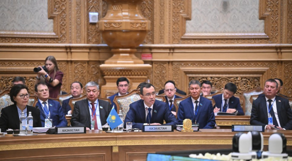 Парламентаралық ассамблея жиынына қатысты