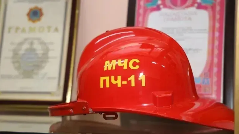 Дети переживали, спасатели действовали: кошку сняли из-под моста в Атырау