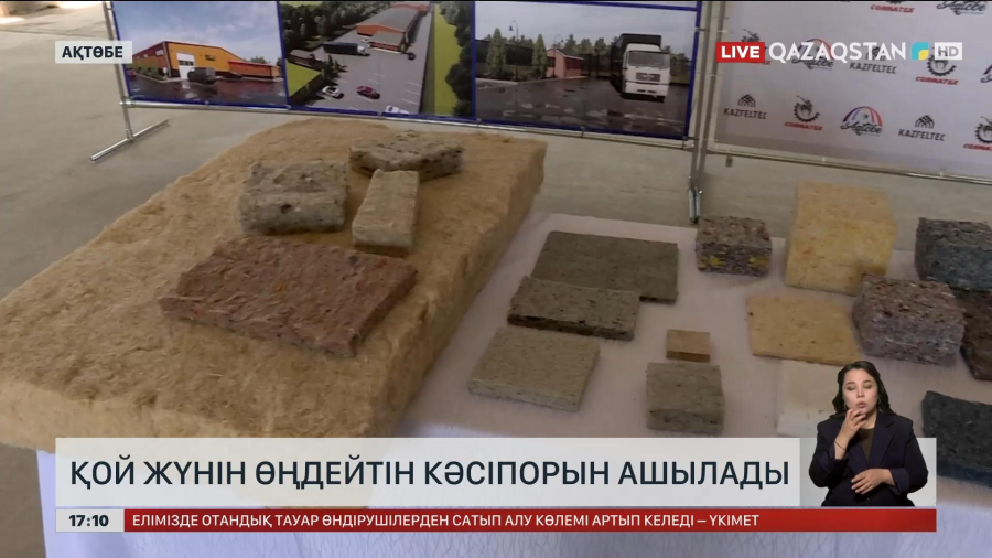 Ақтөбеде қой жүнін өңдейтін кәсіпорын ашылады