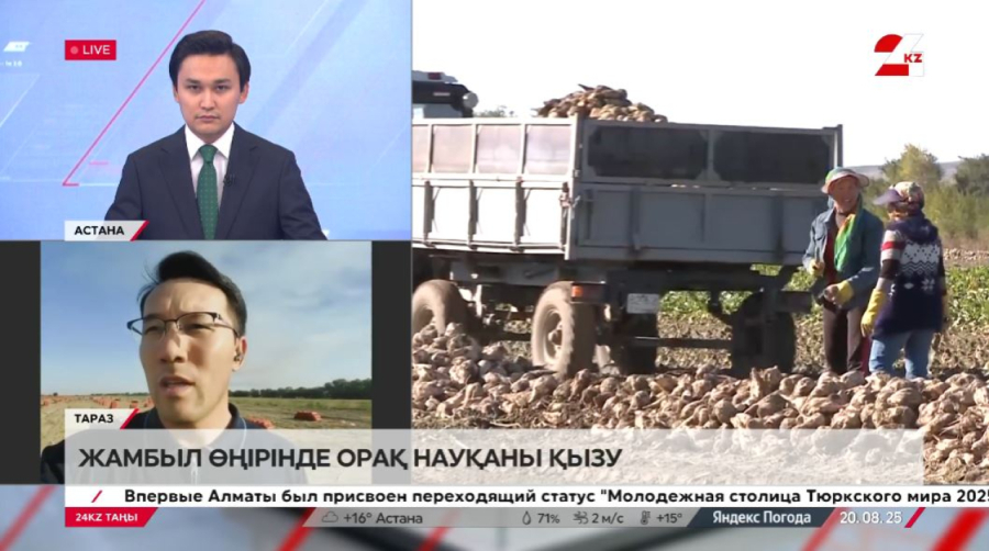 Жамбыл өңірінде орақ науқаны қызу. Нұрдәулет Ілесбекұлы