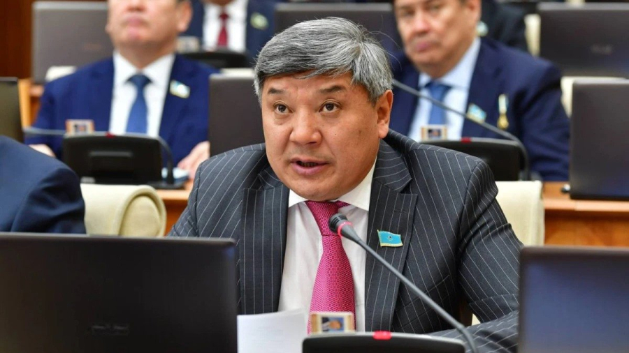 ЛГБТ идеологиясы балалардың құқығына қол сұғады - Жанарбек Әшімжан