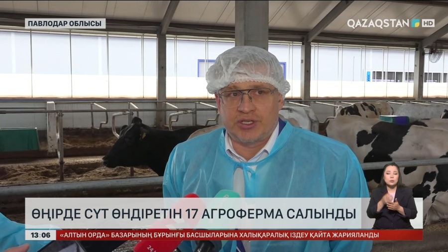 Павлодар облысында сүт өндіретін 17 агроферма салынды