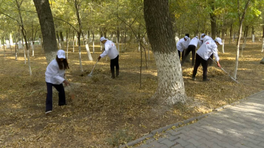 Шымкентте саябақ аумағы тазартылды