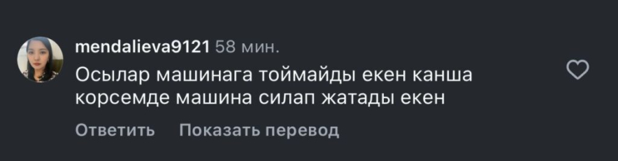 "Жаңа көлік алуға болар еді": Қайын атасына көлік сыйлаған Төреғалидың қарындасы сынға қалды